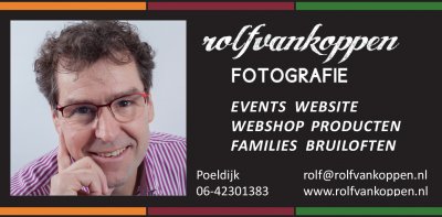 Rolf-logo-advert-Hele-Westland-1.jpg