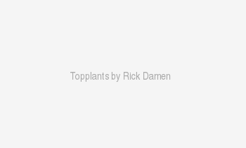 textTopplantsbyRickDamen.png