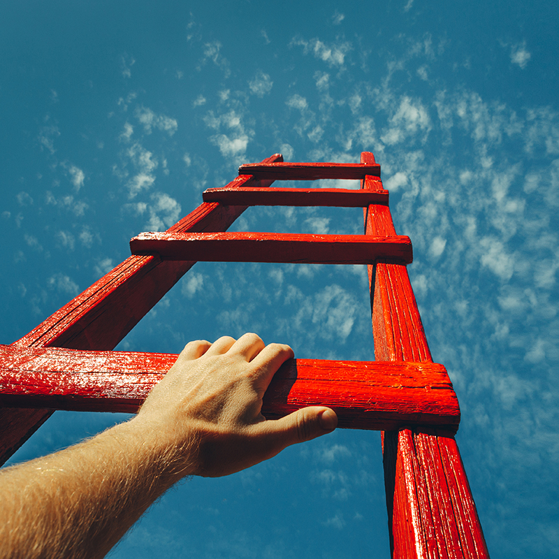 ladder.jpg