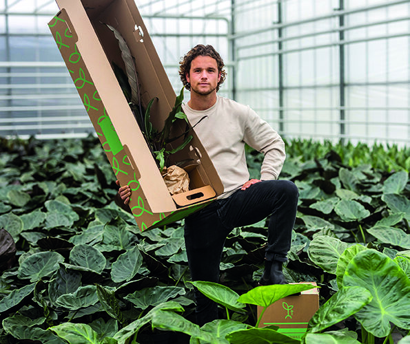 ‘Click-pax biedt innovatie in plantenverpakkingen’