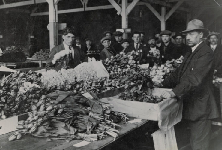 Regio nieuws: Royal Flora Holland bestaat 100 jaar
