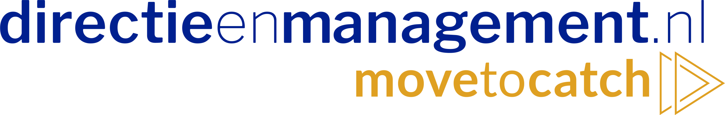 directieenmanagement.nl_.png
