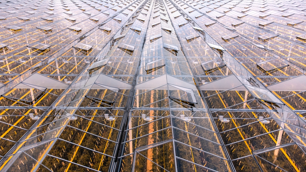 Voor een sterk Nederland in 2050 is meer ruimte voor bedrijven noodzakelijk